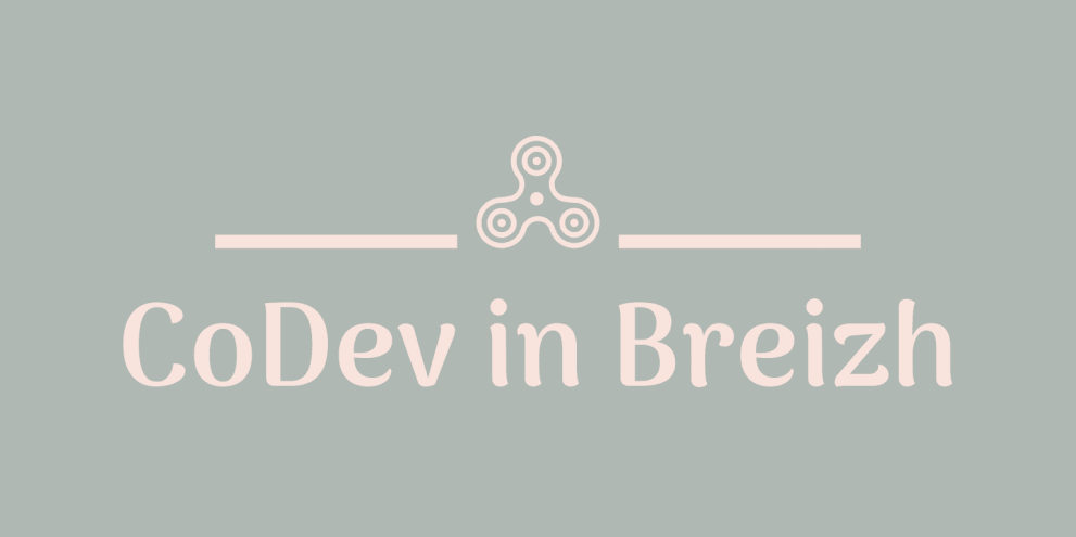 Formation CoDev in Breizh