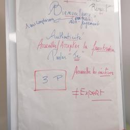 Formation Codev in Breizh